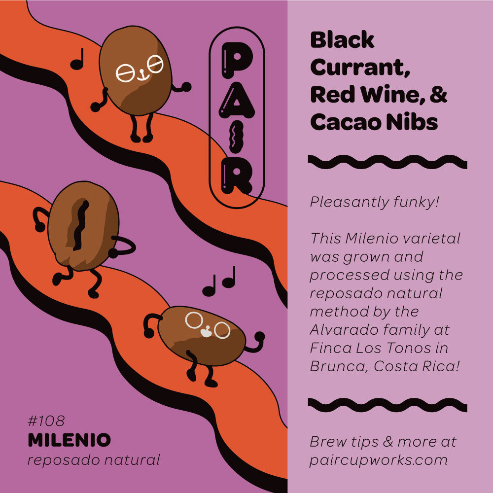 #108 Reposado Natural-Processed Milenio Coffee Beans from Costa Rica