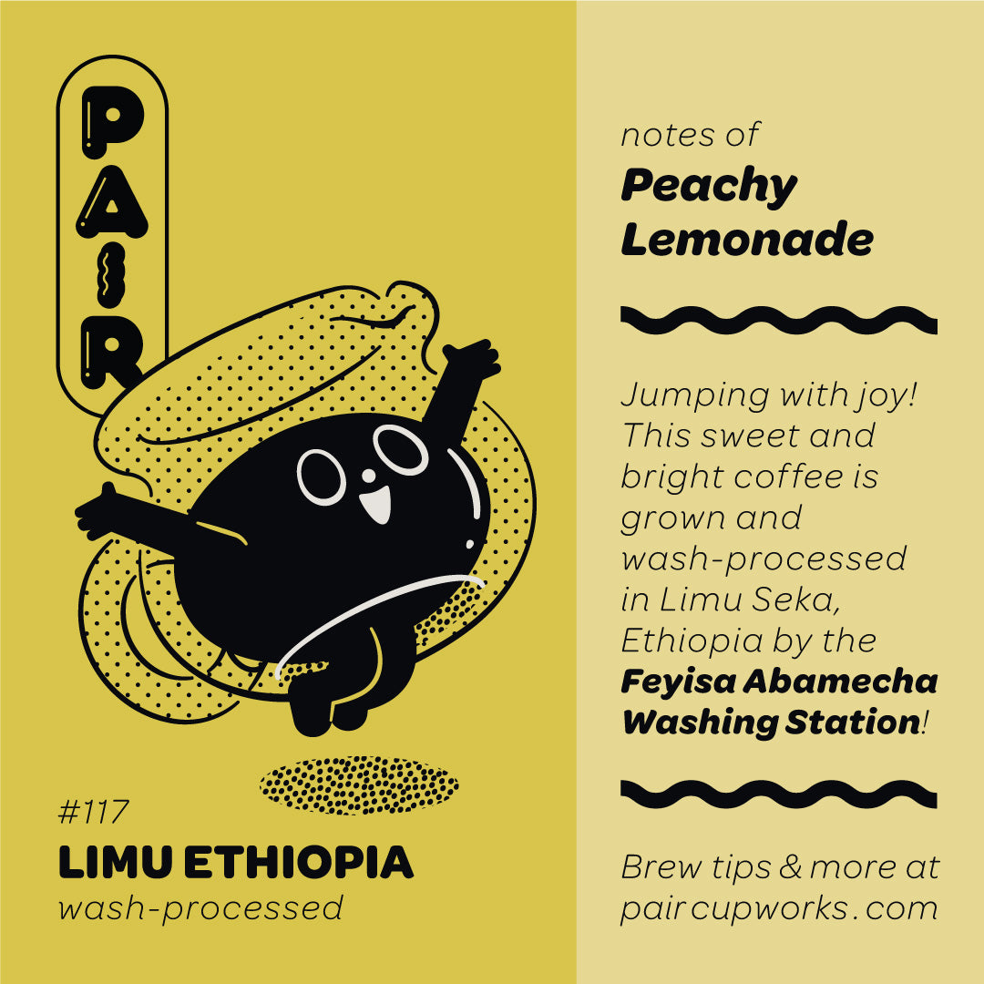 #117 Washed-Processed Coffee Beans from Ethiopia