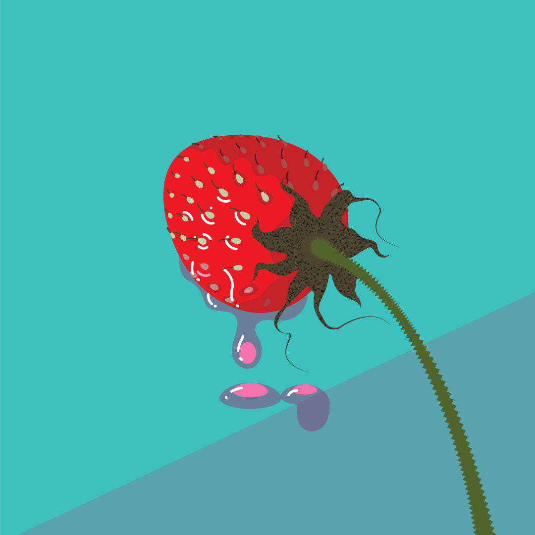 #98 Strawberry Co-fermented Coffee Beans from Colombia