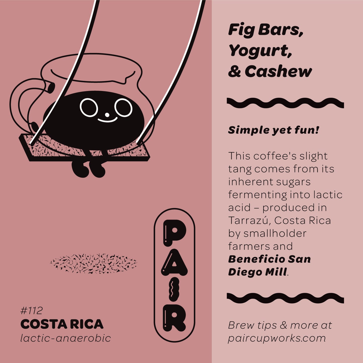 #112 Lactic-Fermentation Anaerobic Coffee Beans from Costa Rica