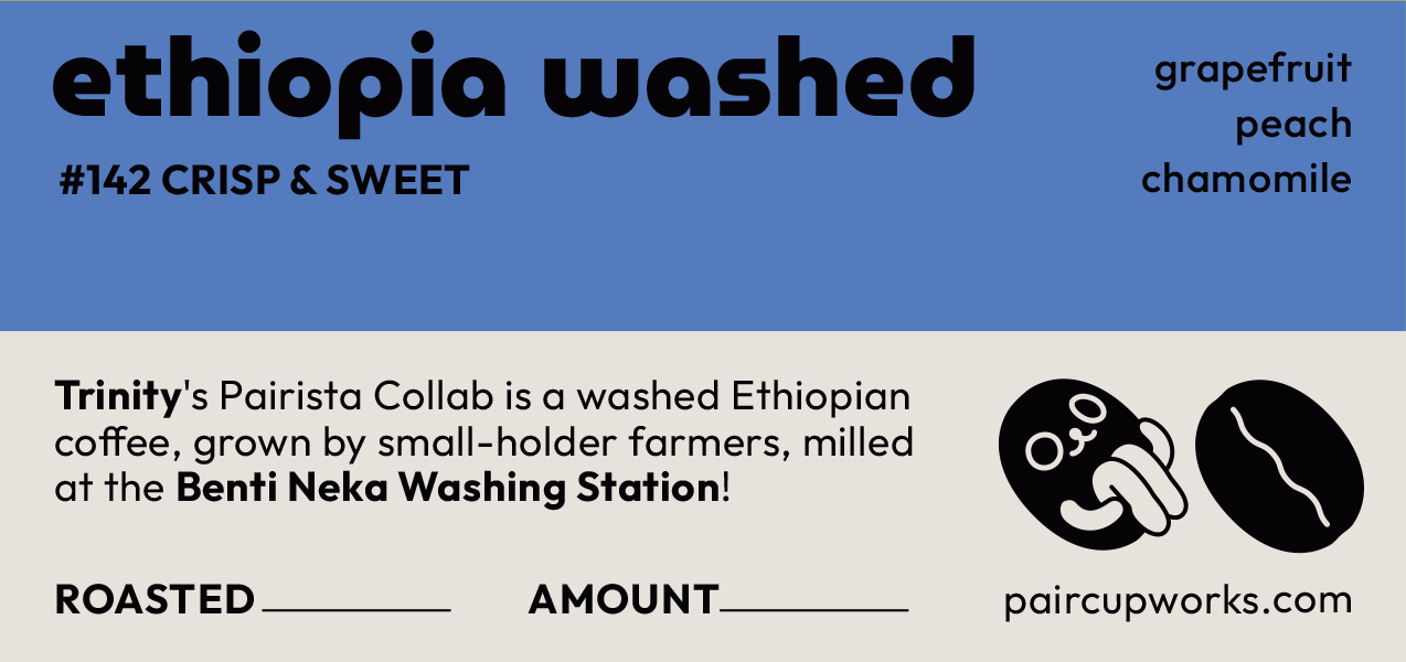 #142 Washed Process Coffee Beans from Ethiopia