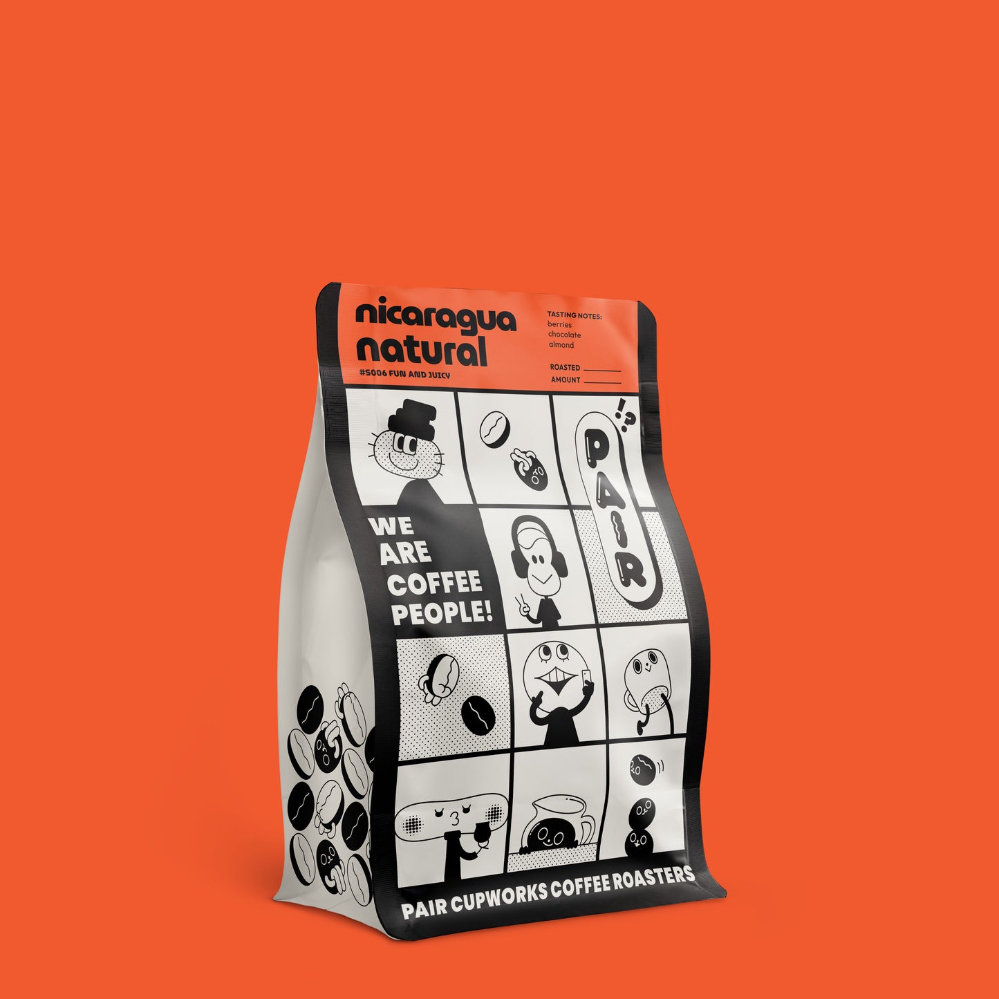 S006 Natural Coffee Beans from Nicaragua