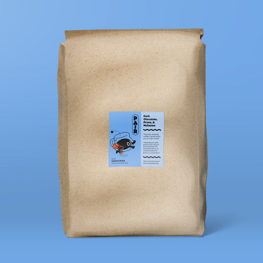 #107 Reposado Natural-Processed Catuai Coffee Beans from Costa Rica - Wholesale