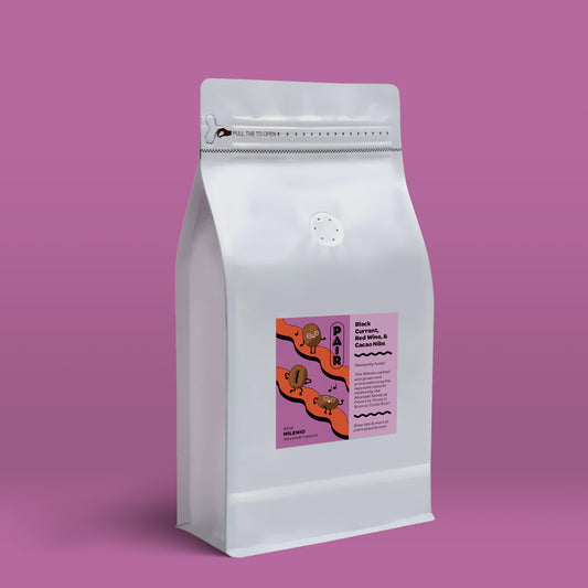 #108 Reposado Natural-Processed Milenio Coffee Beans from Costa Rica - Wholesale