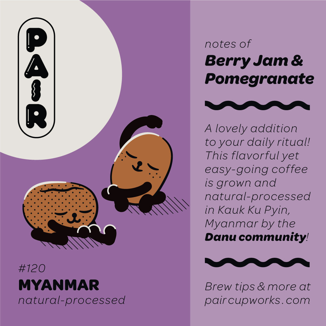 #120 Natural-Processed Coffee Beans from Myanmar