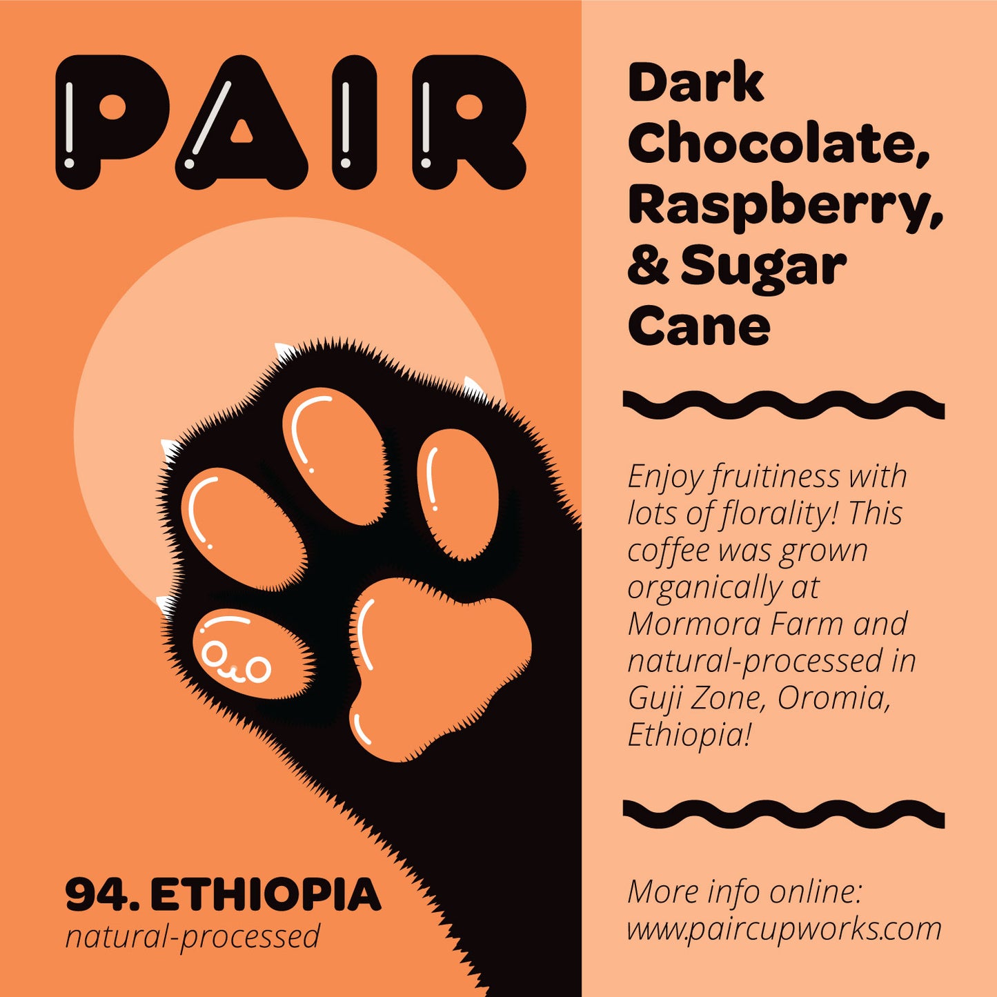 #94 Natural-Processed Coffee Beans from Ethiopia