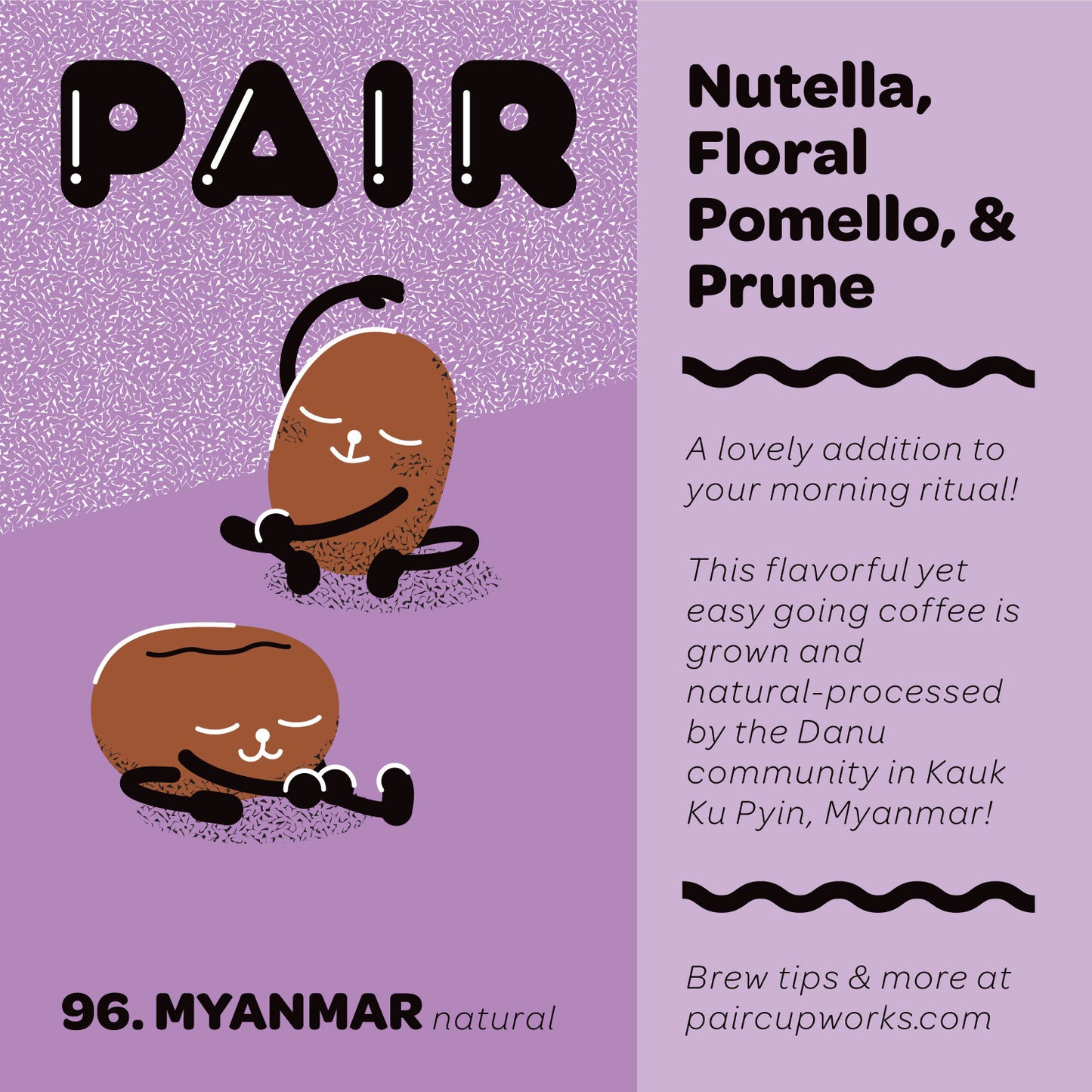#96 Natural-Processed Coffee Beans from Myanmar