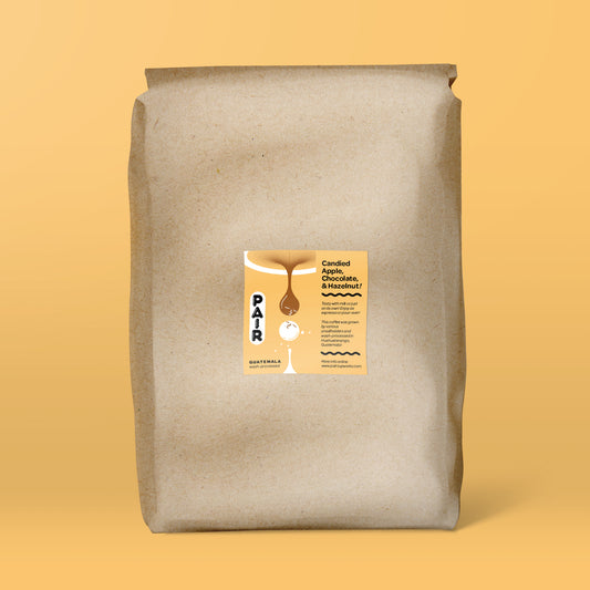 Wash-Processed Coffee Beans from Guatemala - Wholesale