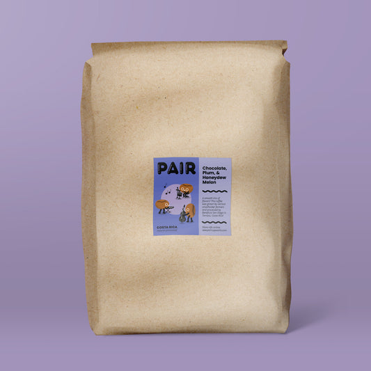 Natural-Processed Coffee Beans from Costa Rica - Wholesale